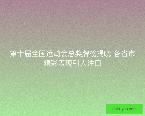 第十届全国运动会总奖牌榜揭晓 各省市精彩表现引人注目