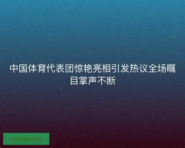 中国体育代表团惊艳亮相引发热议全场瞩目掌声不断