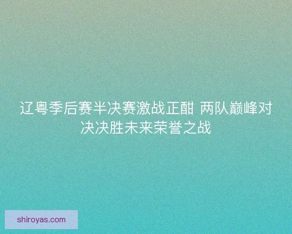 辽粤季后赛半决赛激战正酣 两队巅峰对决决胜未来荣誉之战